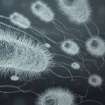 MeMed BV - Distinguish Between Viral and Bacterial Infection