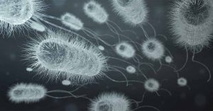 MeMed BV - Distinguish Between Viral and Bacterial Infection