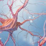 Clene Nanomedicine - Neurodegenerative Diseases