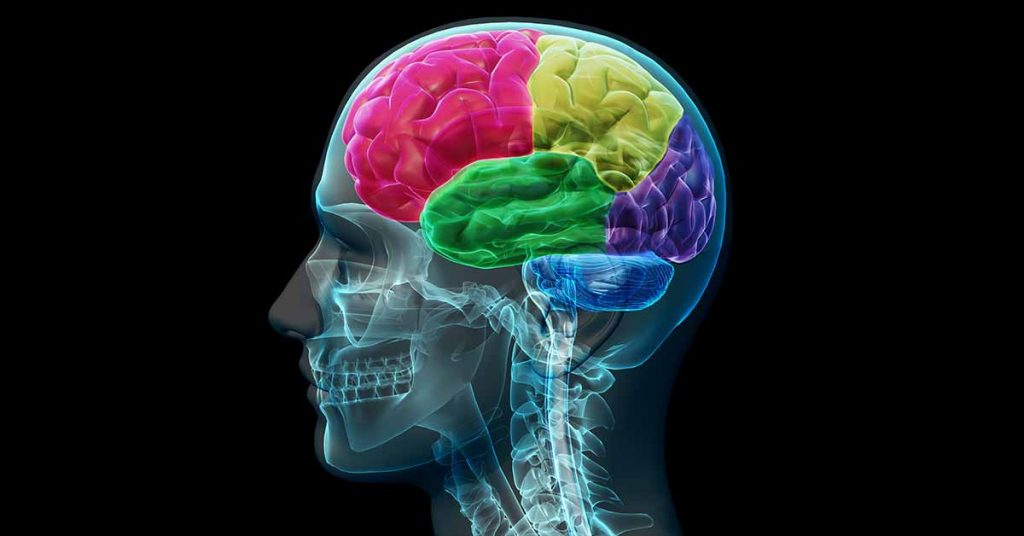 Perspectives From a Leading Alzheimer's Disease Researcher