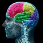 Perspectives From a Leading Alzheimer's Disease Researcher