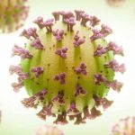 The Development of New Therapies that Supplement Vaccines to Aid Vulnerable Communities