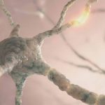 AES 2021 - UCB's New Data Across Epilepsy Portfolio