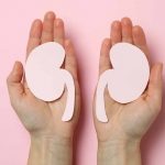 Landmark ADMIRAL Study Validates CareDx’s AlloSure ® Kidney for Routine Organ Transplant Surveillance