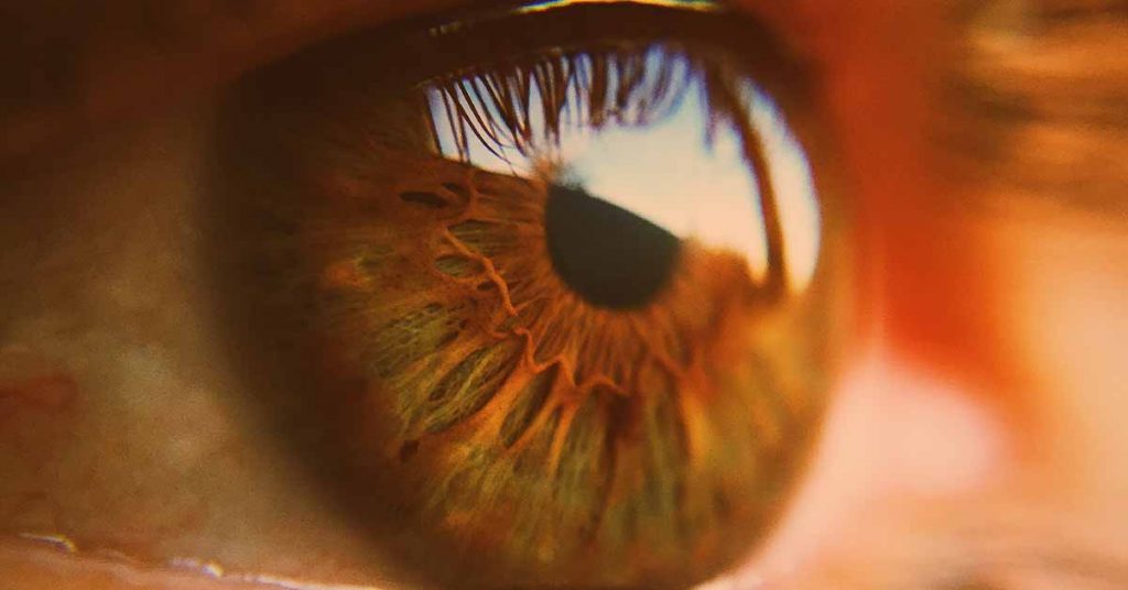 RetiSpec - Hyperspectral Retinal Imaging and AI to Diagnose Alzheimer’s Disease