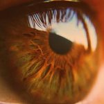 RetiSpec - Hyperspectral Retinal Imaging and AI to Diagnose Alzheimer’s Disease