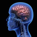 How Janssen Neuroscience is Addressing the Unmet Needs of Rare Disease Patients