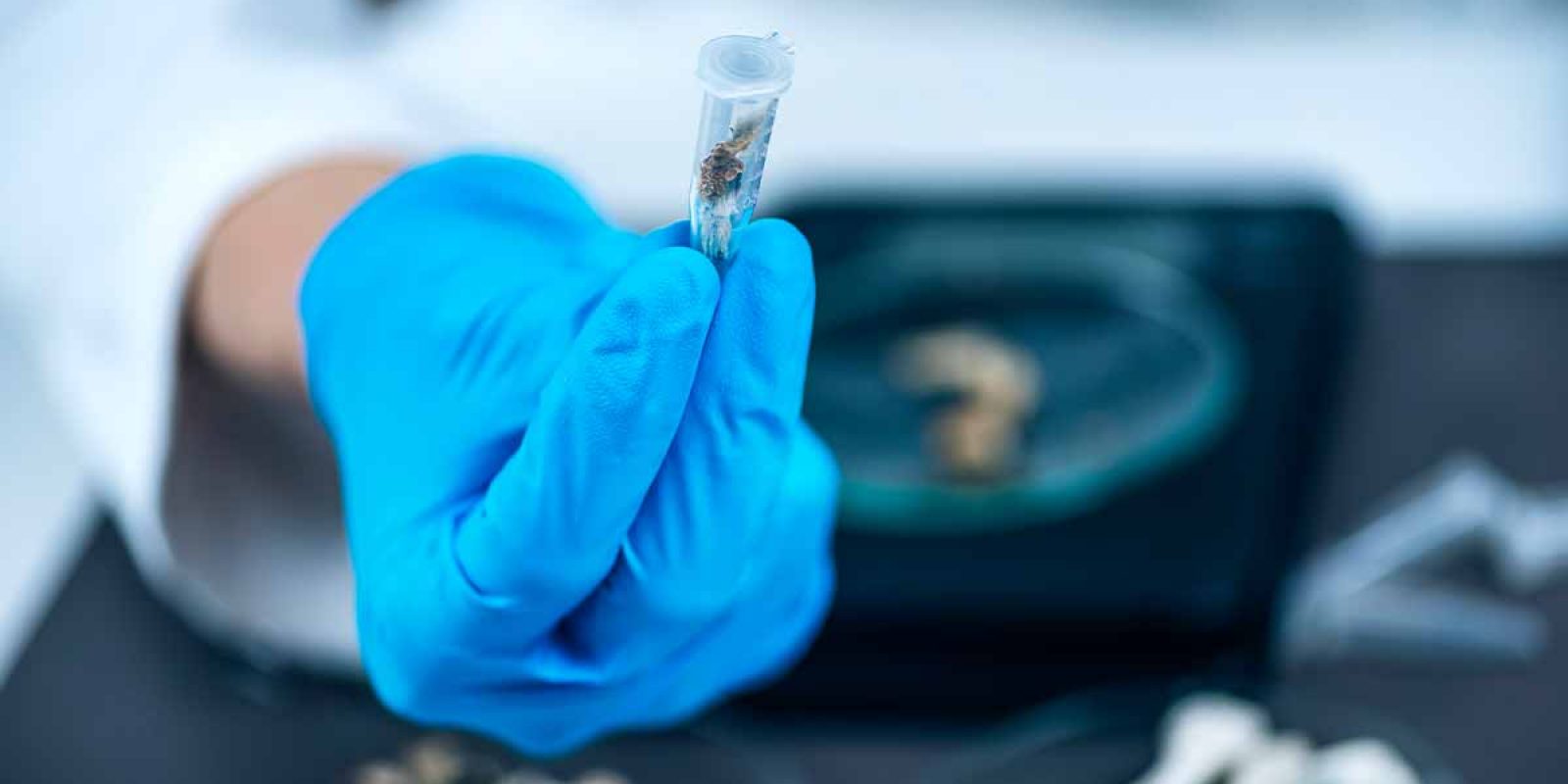 Numinus​ – ​ Approved to ​Use Psilocybin for the ​First ​Time ​Outside of ​Clinical ​Trials