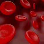 FDA Accepts for Priority Review BLA for Epcoritamab in Relapsed/Refractory Large B-Cell Lymphoma (LBCL)