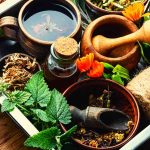 Herbs and Foods for Seasonal Allergies