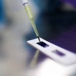 Beljanski Foundation's Latest Research Project on Breast Cancer Stem Cells