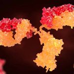 Invivyd, Inc - Development of a Monoclonal Antibody for COVID-19 Prevention in Vulnerable Populations