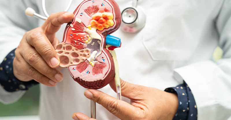 Somatus - Revolutionizing Kidney Care